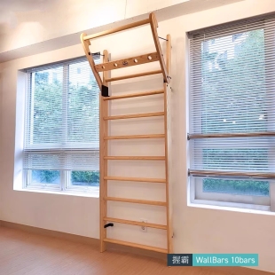 德国WallBars肋木架引体向上架实木单杠健身器材高端家用室内健身