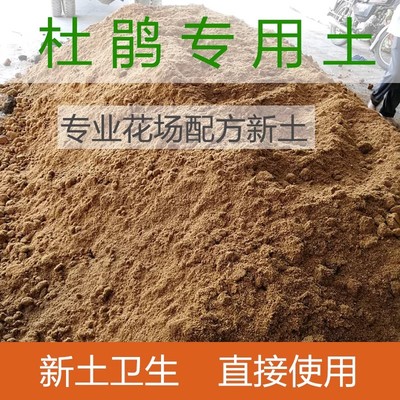 杜鹃花袋装专用土肥料种杜鹃花花卉营养土养花通用型泥土壤栽培土