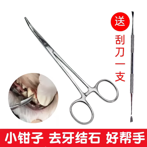 宠物去牙结石工具！安全有效！