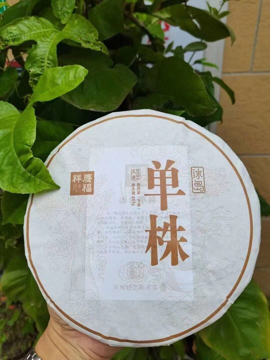 2021庆福祥冰岛单株生普洱茶357克