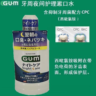 GUM全仕康牙周夜间护理漱口水450ml柔和薄荷口腔异味牙龈出血清新