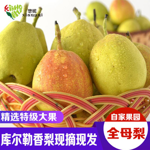 想妮 新疆库尔勒香梨全母梨 新鲜水果包邮 新疆香梨 新鲜整箱9斤