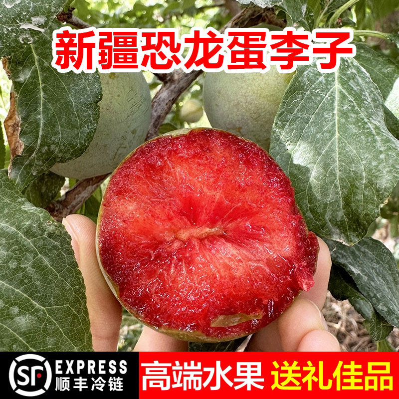 想妮 新疆恐龙蛋水果李子 红肉 味帝杏李 新疆直发顺丰包邮