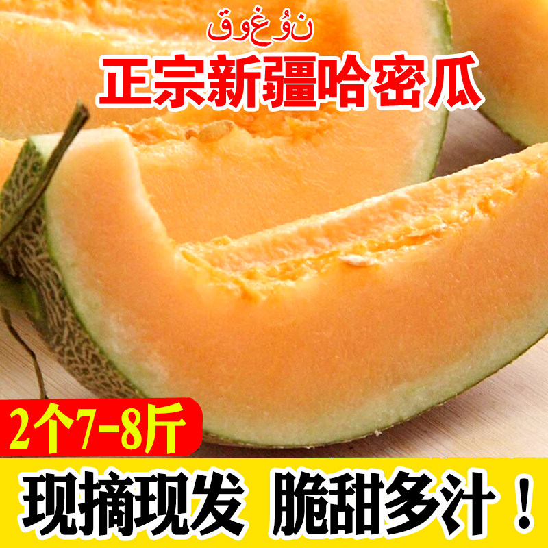 正宗新疆哈密瓜新鲜水果
