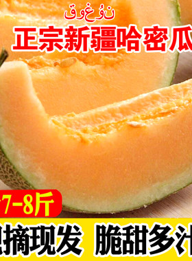 正宗新疆哈密瓜新鲜水果