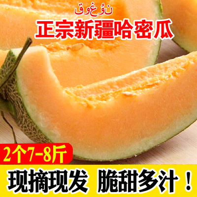 正宗新疆哈密瓜新鲜水果