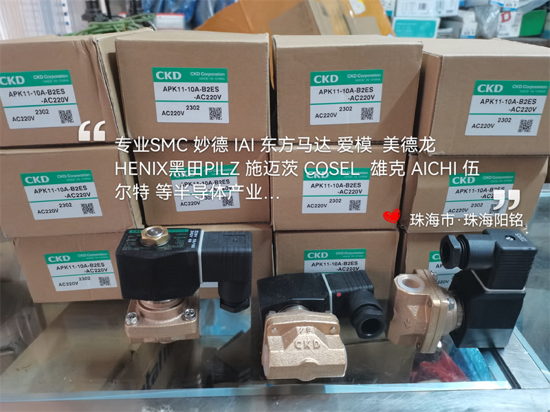 CKD电磁阀AP11-20A-C2C APK11-10A-B2ES  15A25A8ABCDDC24 AC220V