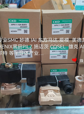 CKD电磁阀AP11-20A-C2C APK11-10A-B2ES  15A25A8ABCDDC24 AC220V