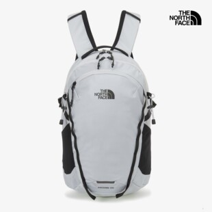 26新韩国直邮TheNorthFace北面户外20L登山包休闲双肩背包NM2TS16