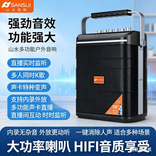 山水T5蓝牙音箱户外大功率双麦克风音响U盘卡播放器内置声卡直播