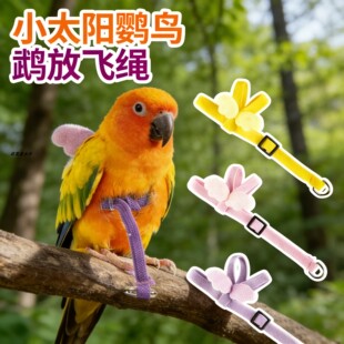 小太阳鹦鹉外出牵引放飞绳不伤脚训练安全放飞神器专用背带超轻
