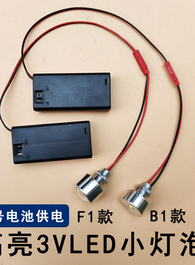 3VLED灯泡3W灯珠电池灯创意手工DIY模型灯笼光源迷你小夜灯带开关