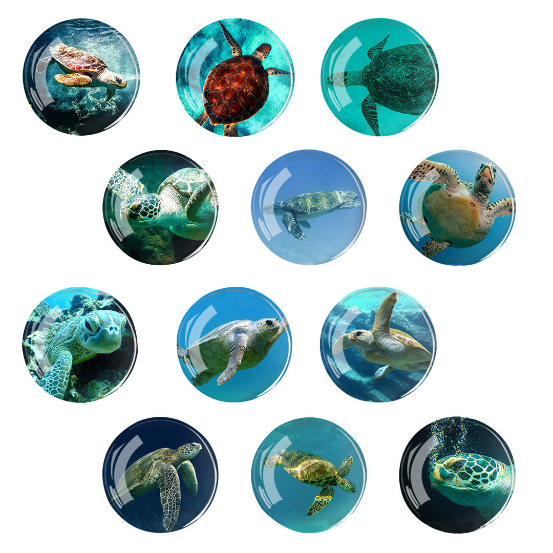 跨境海洋动物海龟图案 时光宝石玻璃贴片软磁冰箱贴12个一套新款