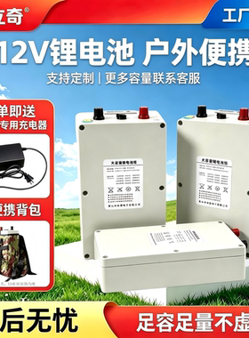 奔雷12v24v采茶机割草机修剪机灯具户外照明大容量大功率锂电池