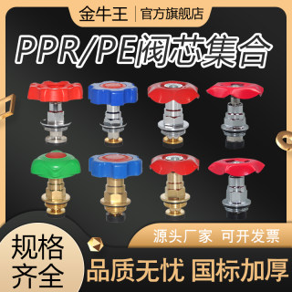 PPR PE截止阀阀芯国标精品  4分20 6分25 1寸32 加厚款 水管配件