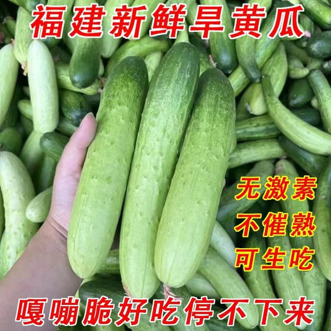 【福建旱黄瓜水果黄瓜】可生吃现摘现发9斤新鲜水果一件代发,水产肉类/新鲜蔬果/熟食,杨梅,淘宝优惠券,粉丝福利购,淘宝优惠卷