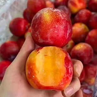 智利黄肉珠宝李 李子 脆甜多汁果香浓郁新鲜李子新鲜水果一件代发