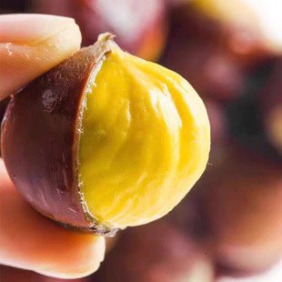 【沂蒙山红黑油亮新鲜板栗】 糖炒栗子颗粒饱满5斤新鲜水果蔬菜代