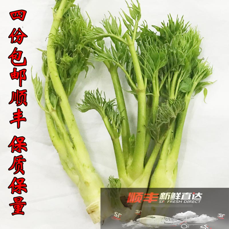 长白山新鲜山野菜新鲜刺老芽刺嫩芽刺龙芽250克每份四份包邮生鲜使用感如何?