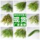 仿真植物尤加利果假花绿色系婚礼现场装 饰仿真花婚礼路引插花布置