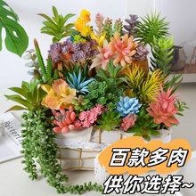 仿真多肉植物绿植造景装饰品仙人掌办公室客厅绿植小摆件组合盆栽