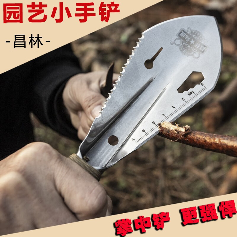 挖沙挖蚯蚓挖野菜昌林户外露营