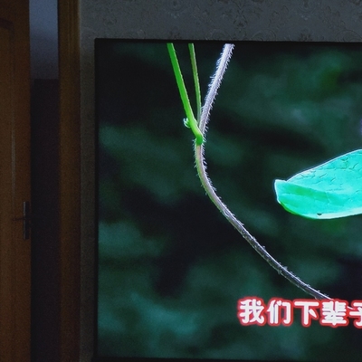 点评TCL65T3M与65T6M谁更好，选哪款不后悔？