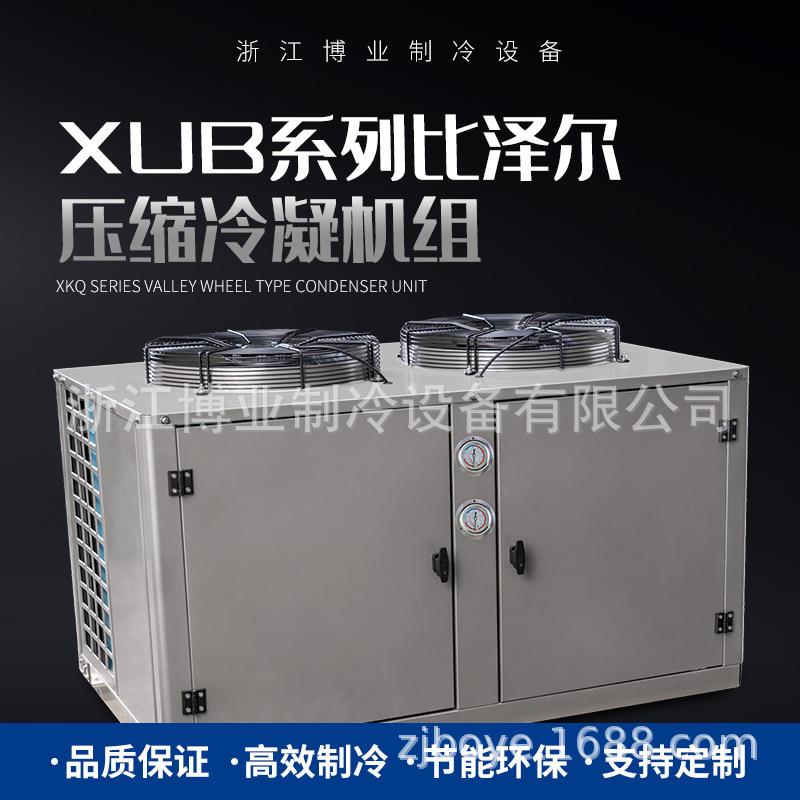 XUB系列比泽尔压缩冷凝精密空调中温冷藏低温冷冻机组食品空调