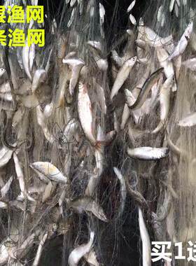 小渔网黏网三层白条网马口网浮网沉网50米100米长1指网渔网捕鱼网