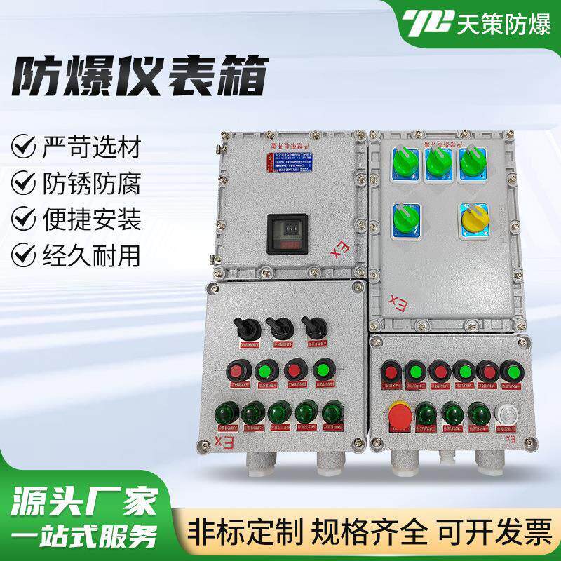 防爆仪表箱 控制柜照明动力检修专用电源插座控制箱回路开关接线