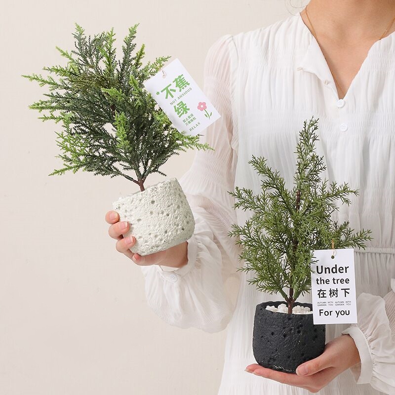 ins风假绿植盆栽办公桌面放青松盆景仿真小树摆件治愈系房间装饰