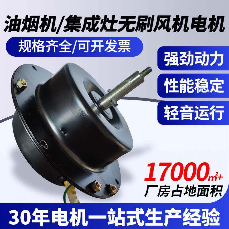 厂家油烟机集成灶交流无刷微型电机220V低噪音高效率电机