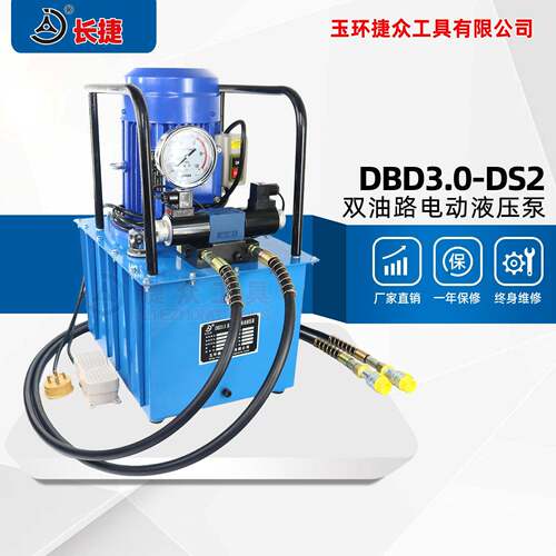 双油路电动液压泵DBD3.0-DS2双向输出3KW双回路压油泵