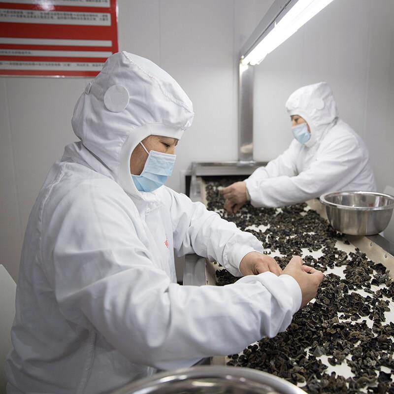 中央厨房车间防护衣工厂国标款防静电连身工服食品厂工作服套装