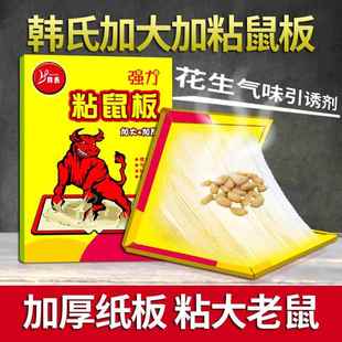 超强力粘鼠板贴加大加厚抓灭粘捕鼠器神一窝老鼠捉粘大老鼠家用端