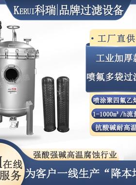 袋式过滤器喷氟F40耐腐蚀过滤器耐酸碱装配聚四氟乙烯滤袋