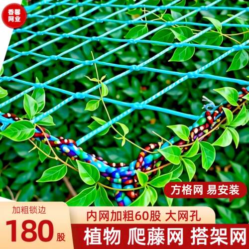 爬藤网方格网植物牵引网爬架网攀爬搭架网黄瓜丝瓜葡萄百香果网格