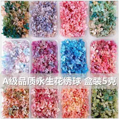 干花永生花绣球渐变色材料包贴脸婚鞋玻璃罩团建活动花艺婚庆