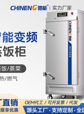 驰能变频蒸柜蒸饭柜智能双门大容量烤箱不锈钢饭店商用食堂酒店
