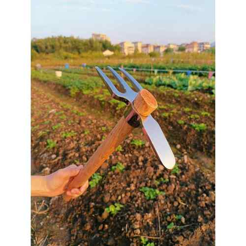 户外不锈钢两用镐耙家用菜园松土刨土种花钓鱼一体成型加厚结实