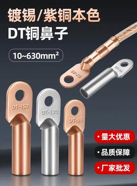 国标DT铜鼻子铜接头紫铜线鼻10/16/25/35/70镀锡堵油接线端子