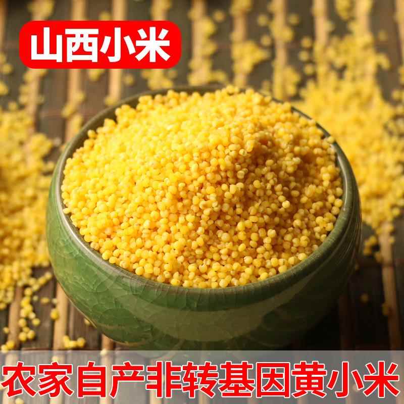 晋谷21号小米粥山西特产黄小米新米五谷杂粮新鲜小黄米粥食用糯小