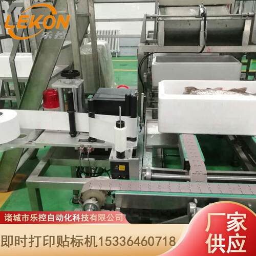 全自动即时打印贴标机 纸箱泡沫箱条形码标签在线打印贴标机厂家