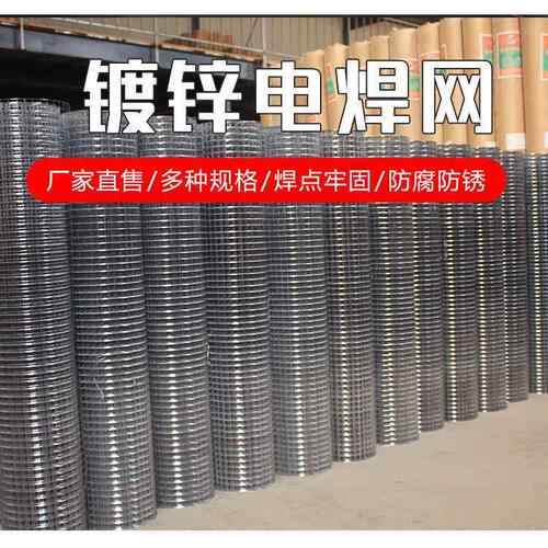 热镀锌电002焊铁丝网围栏钢网丝网养殖网网护网栏阳台防护防鼠小