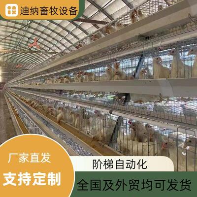 A型阶梯自动化养殖设备厂家蛋鸡笼养殖场梯形布局，通风性好