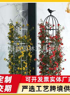 花架爬藤架月季蔷薇阳台架子花盆植物藤架花园花柱园艺攀爬花支架