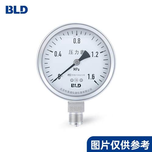 全不锈钢耐震压力表YTHN-100 0～4MPa 1.6级 3/8BSP 径向无边