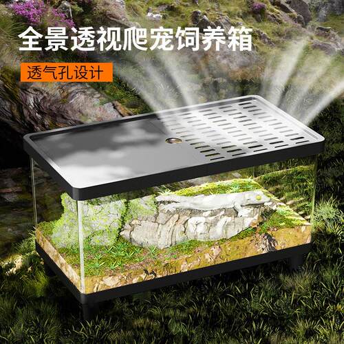 寄居蟹饲养盒子爬宠养殖箱带盖亚克力透明高清全透小型桌面爬宠盒
