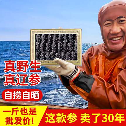 老獐9年野生海参干 干货大连辽参淡干深海渗非即食500克特价海参
