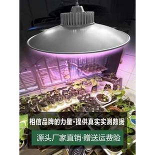 大棚温室植物生长灯室内阳台花卉补光灯家用 LED全光谱绿植补光灯